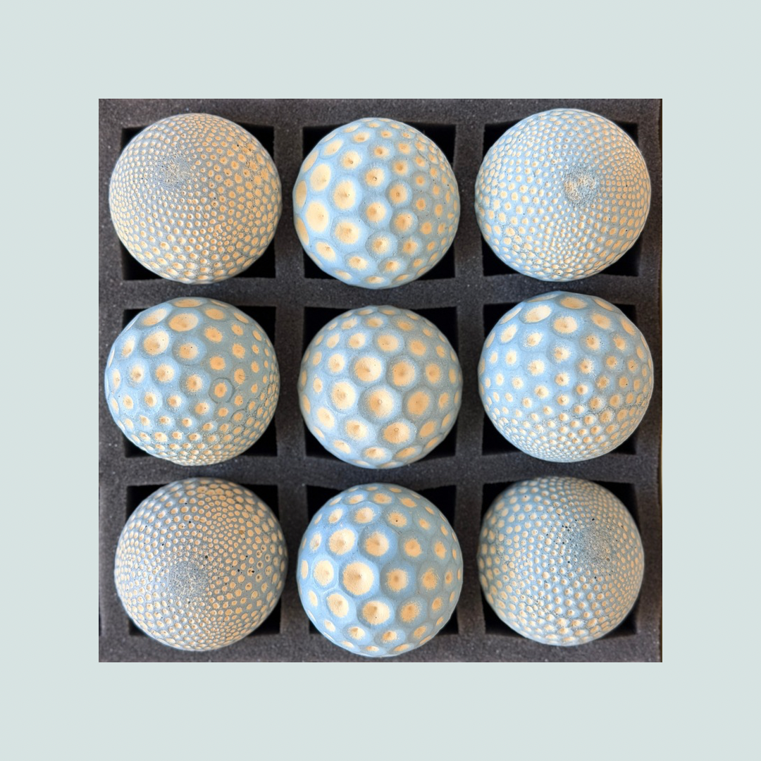 2026 Seconds | Large | Seeds | Batch #254