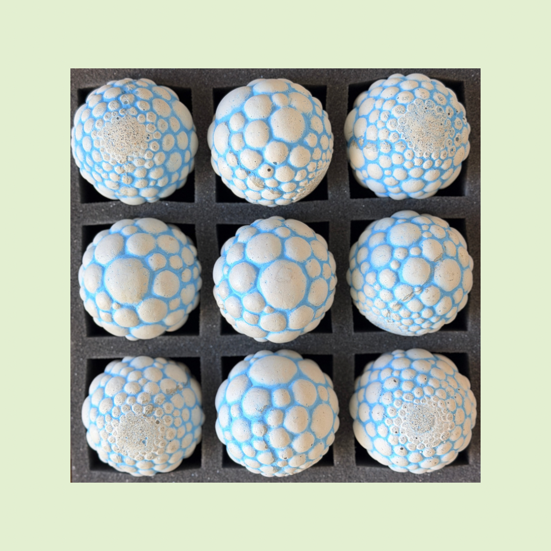 2026 Seconds | Large | Cells | Batch #26