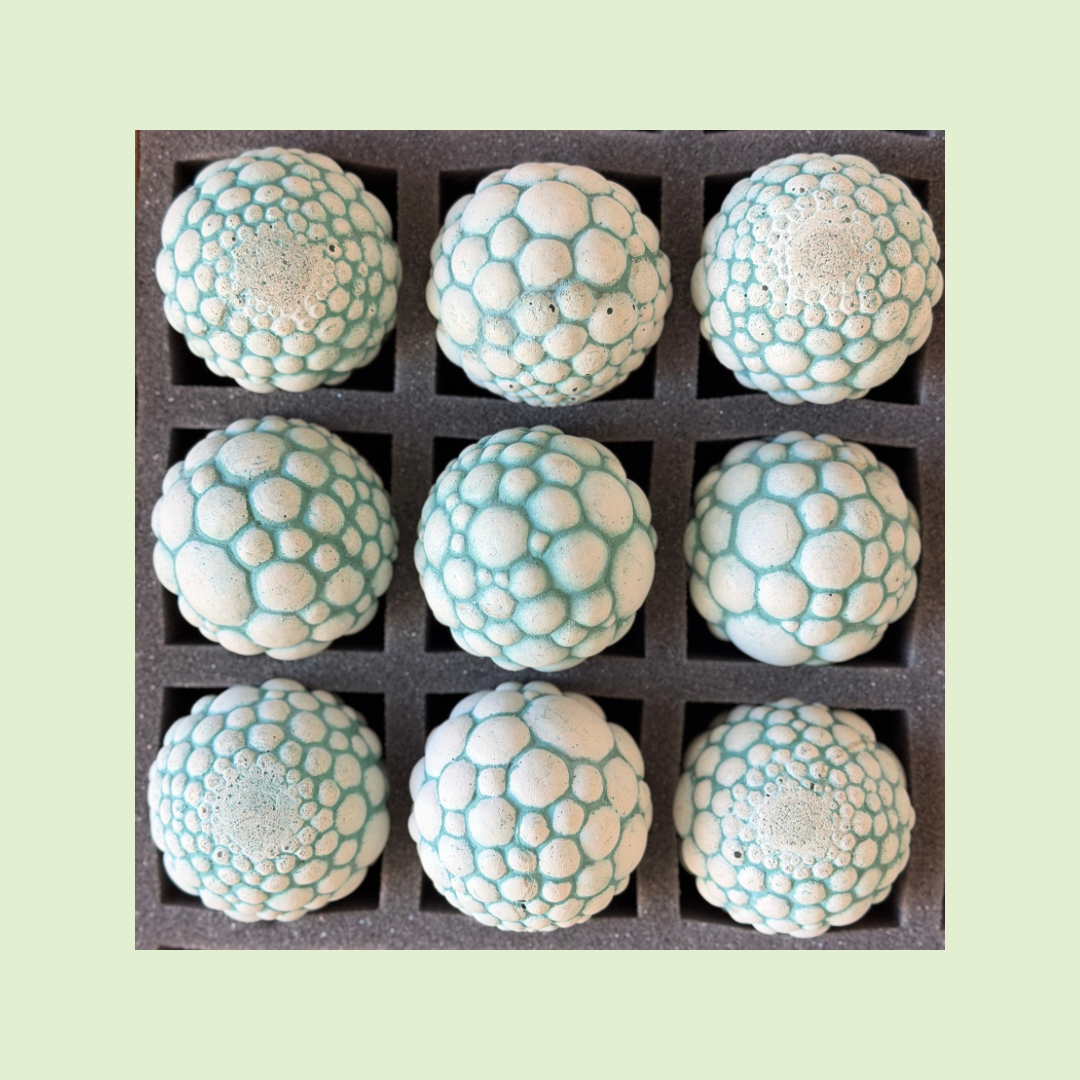 2026 Seconds | Large | Cells | Batch #200