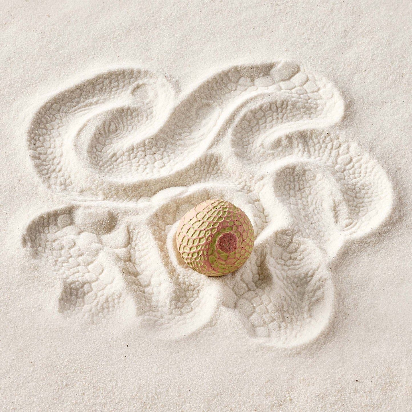 Iguana | Sand Sphere