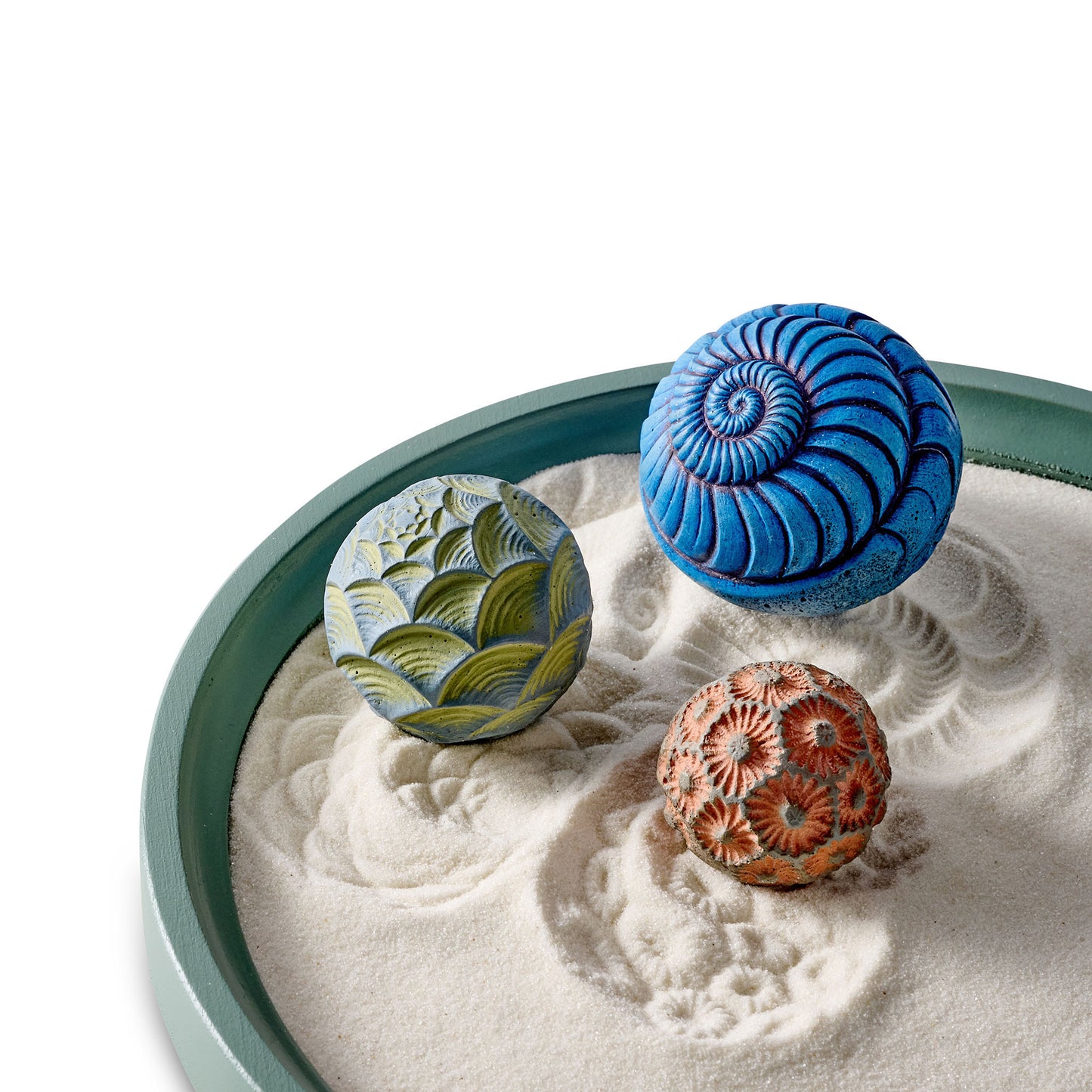 Reef Relief | 8" Wonderscape