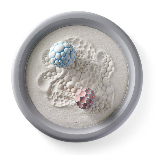 Roll Reversal | 12" Wonderscape