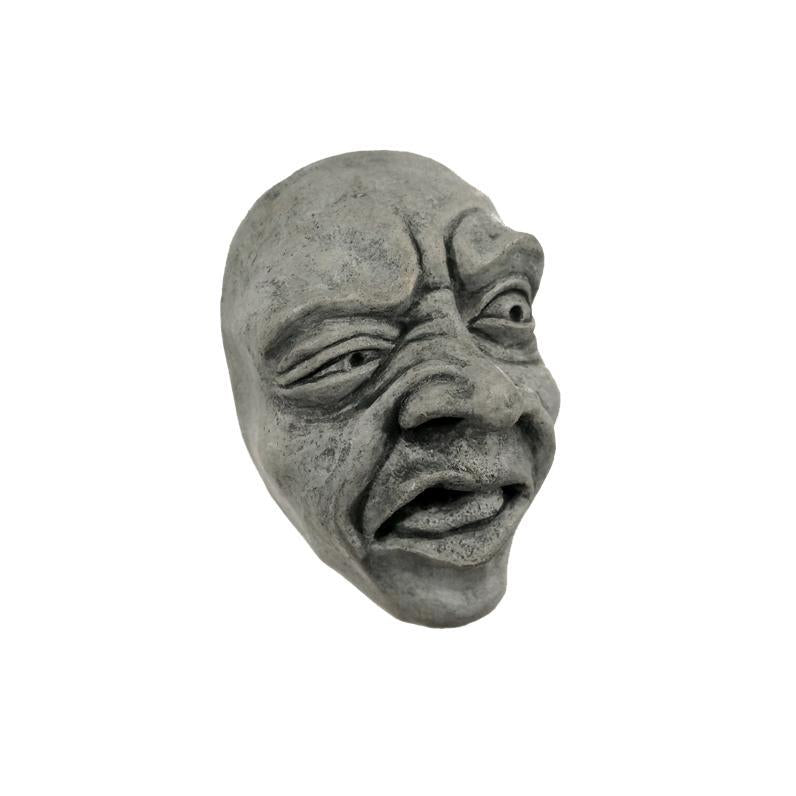 Humorous Art for the Wall | Disgusted Face in Gray