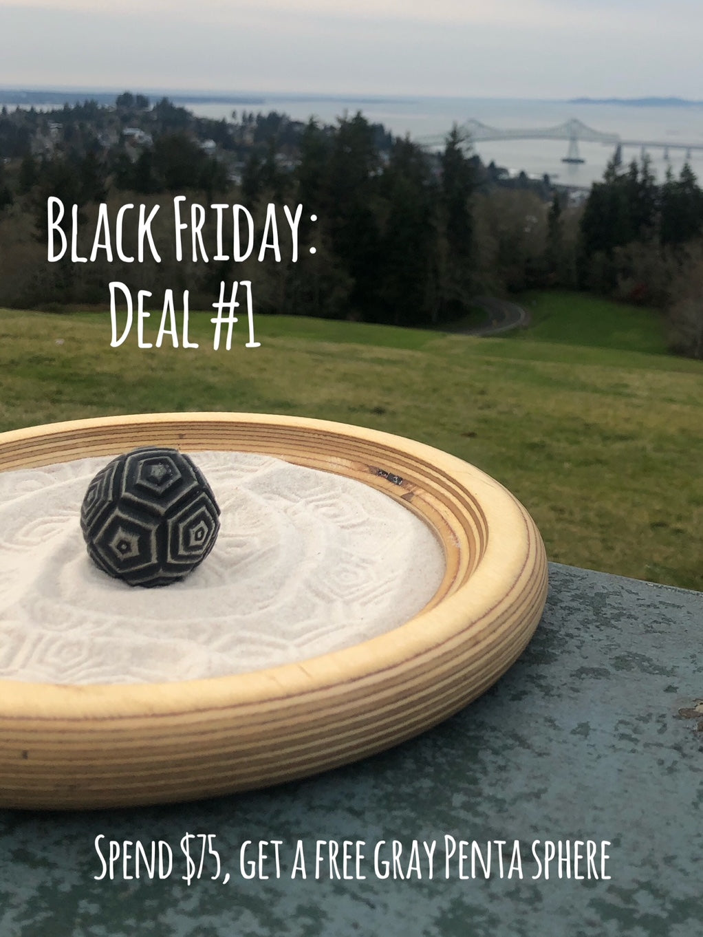 Black Friday Deal #1