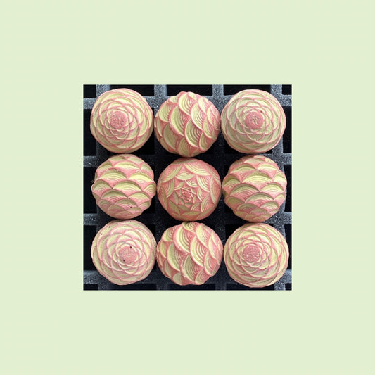 2026 Seconds  | Small | Scales | Batch #57