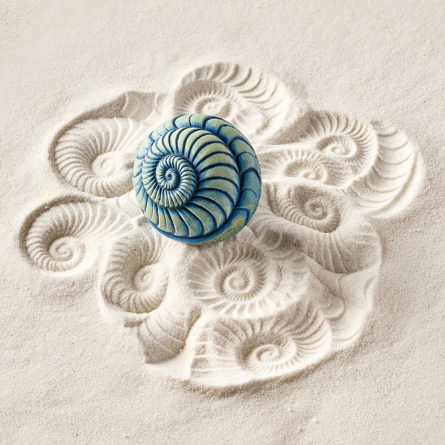 Ammonite | Sand Wonk