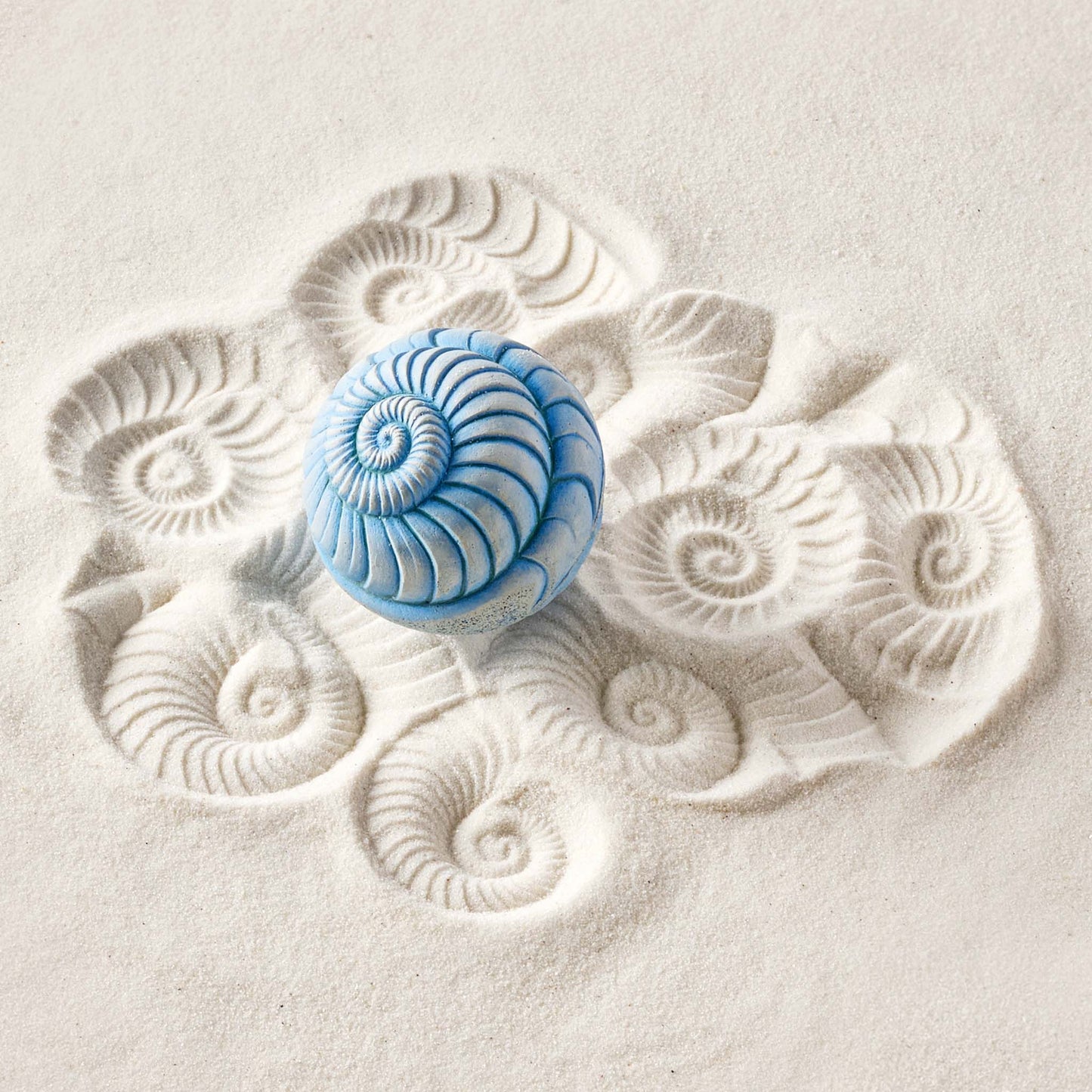 Ammonite | Sand Wonk