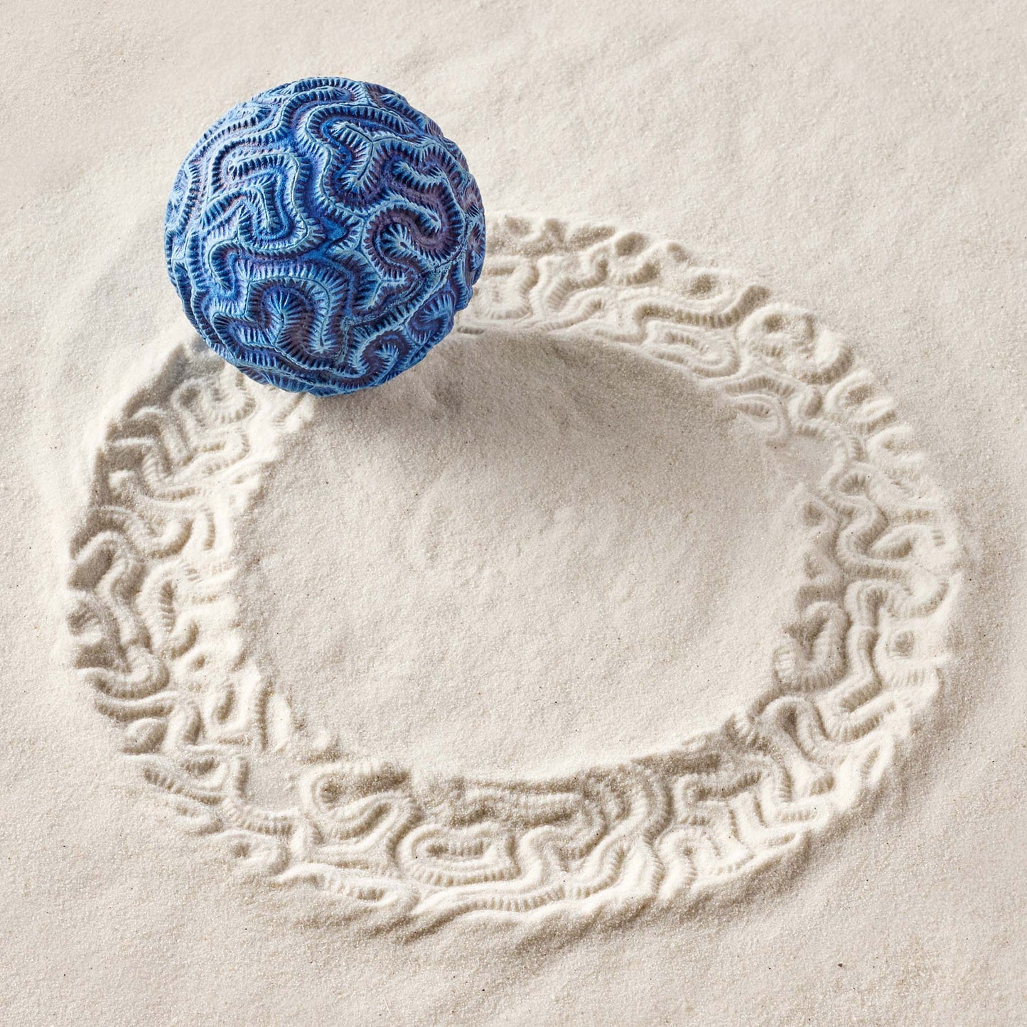 Brain Coral | Sand Sphere