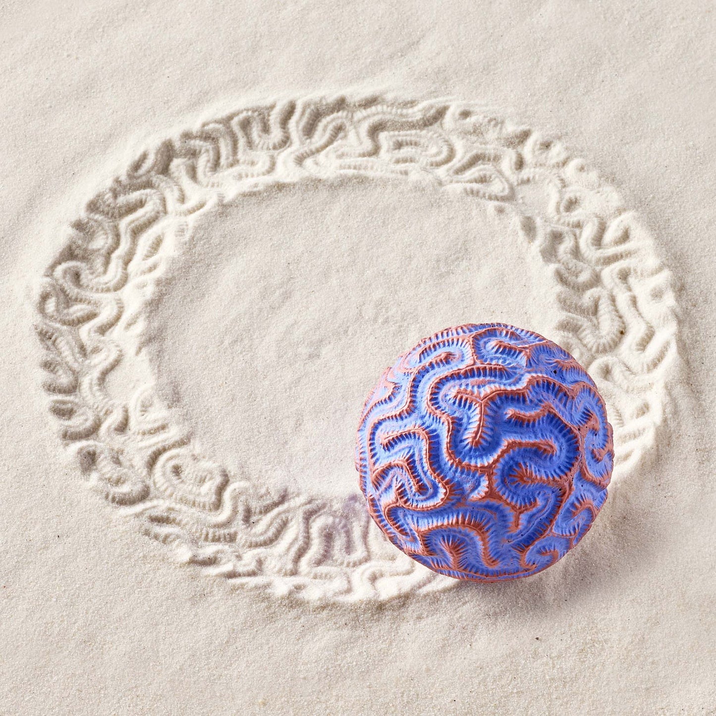 Brain Coral | Sand Sphere