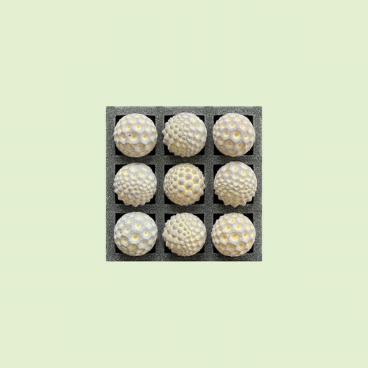 2026 Seconds  | Tiny | Spikes | Batch #15