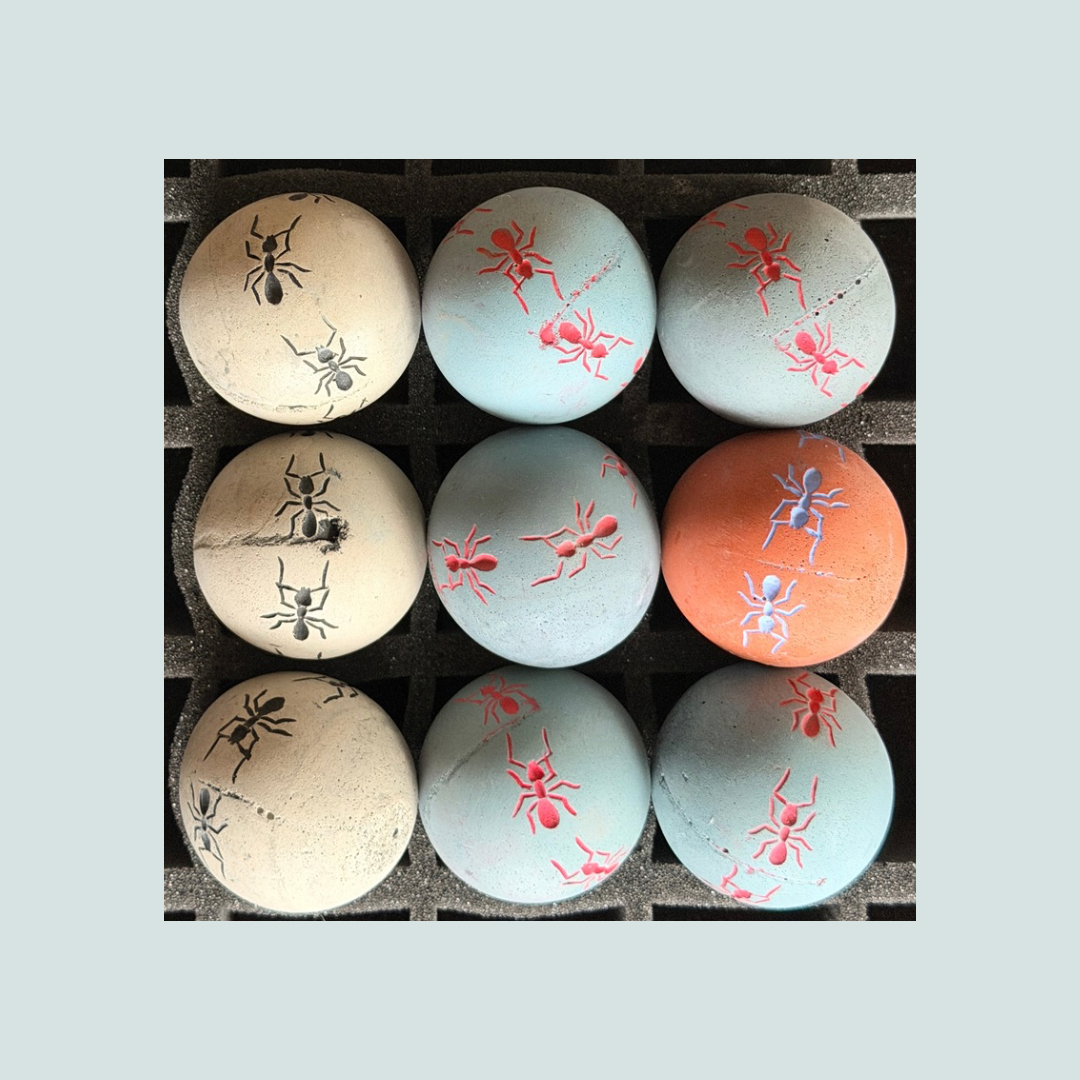 2026 Seconds  | Small | Ants | Batch #297