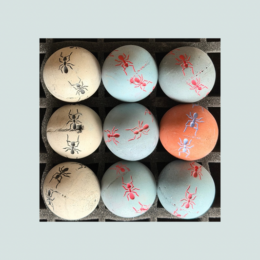 2026 Seconds  | Small | Ants | Batch #297