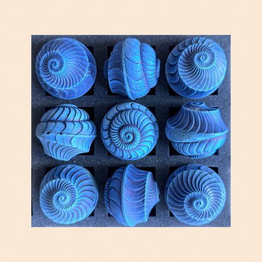 2026 Seconds  | Medium | Ammonite | Batch #88