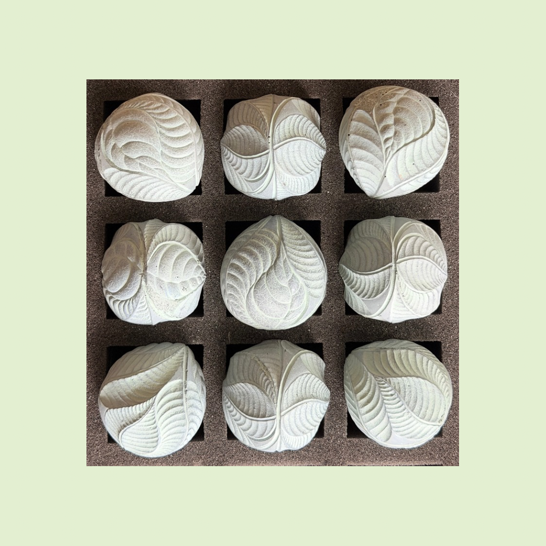 2026 Seconds  | Medium | Leaves | Batch #93