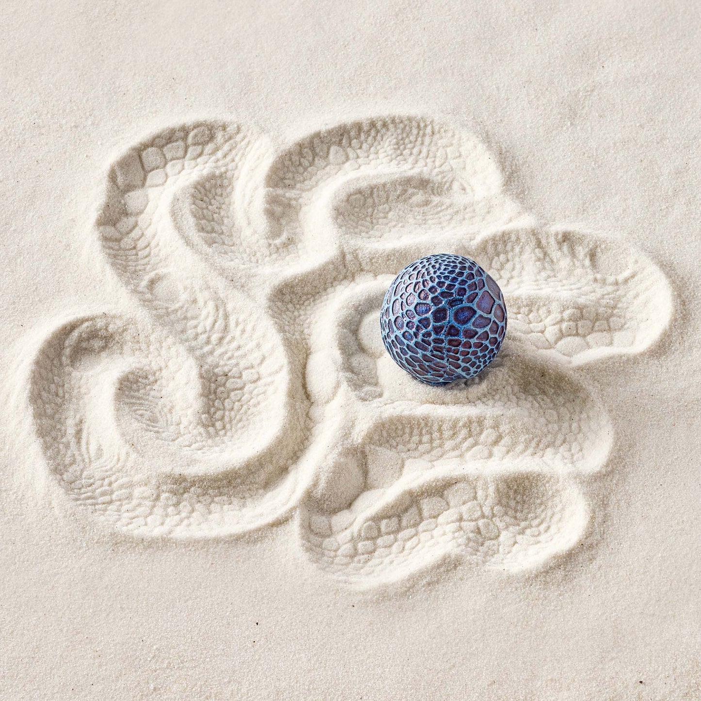 Iguana | Sand Sphere