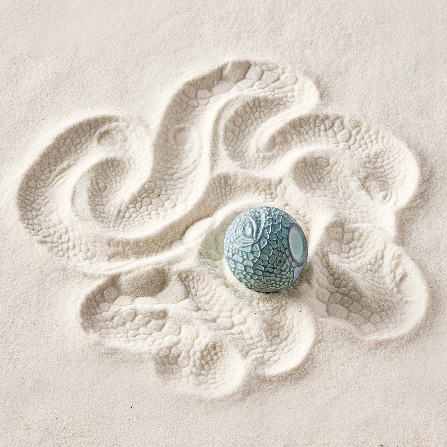 Iguana | Sand Sphere