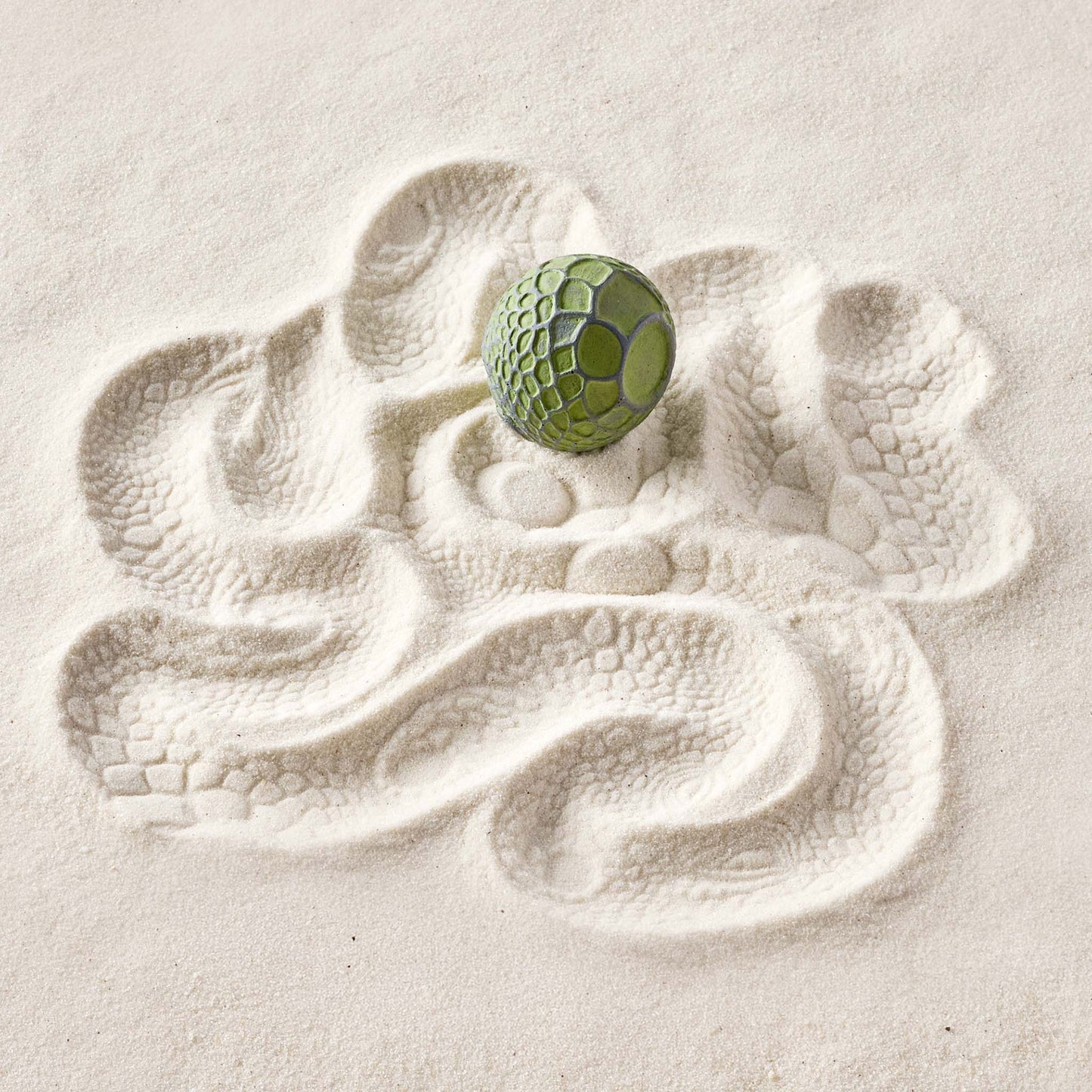 Iguana | Sand Sphere