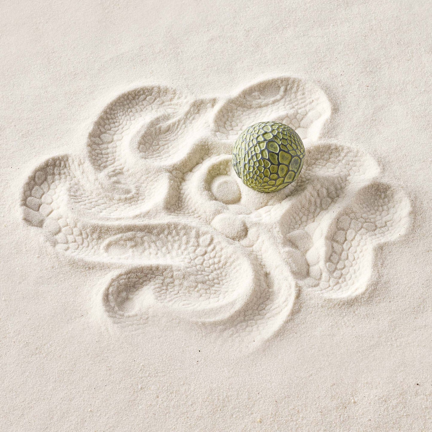 Iguana | Sand Sphere