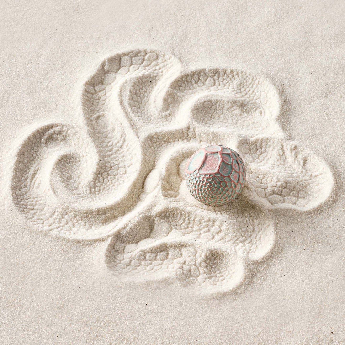 Iguana | Sand Sphere