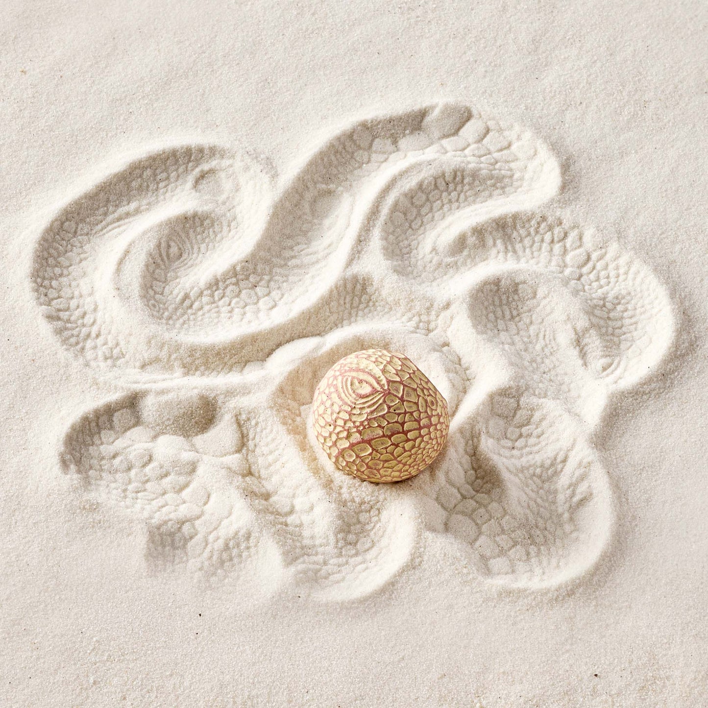 Iguana | Sand Sphere