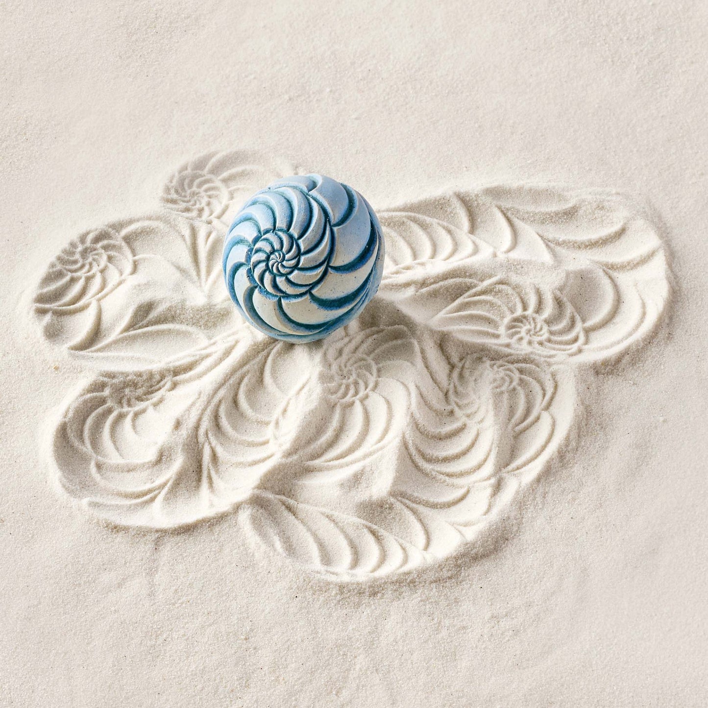 Nautilus | Sand Wonk