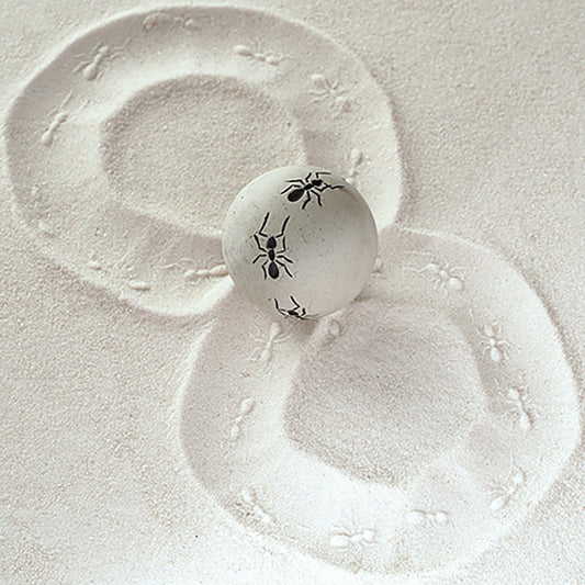 Ants | Sand Sphere