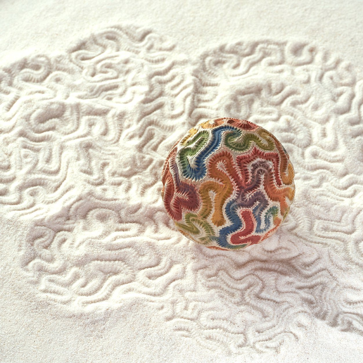 Sand Sphere | Brain Coral | Large