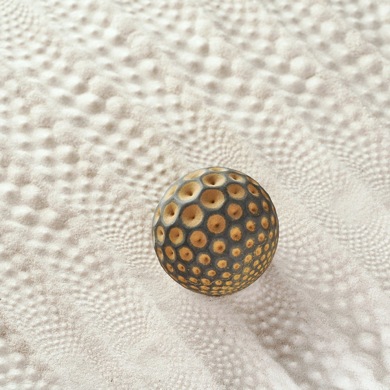 Sand Sphere | Seeds | Large