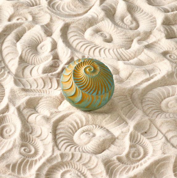 Sand Wonk | Ammonite | Medium