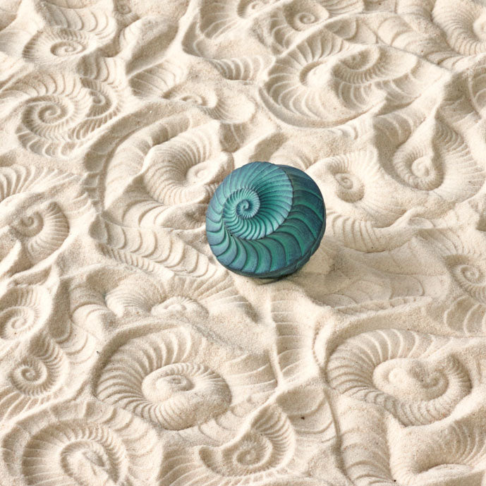 Sand Wonk | Ammonite | Medium